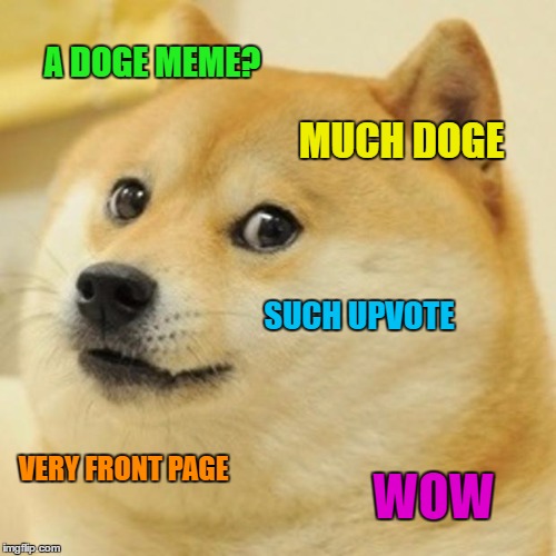 Doge Meme | A DOGE MEME? MUCH DOGE; SUCH UPVOTE; VERY FRONT PAGE; WOW | image tagged in memes,doge,tags you will never read,so sad,never care,such anguish | made w/ Imgflip meme maker