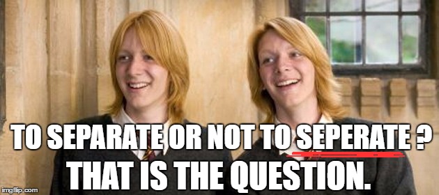 English Spelling | TO SEPARATE OR NOT TO SEPERATE ? THAT IS THE QUESTION. | image tagged in weasley twins | made w/ Imgflip meme maker