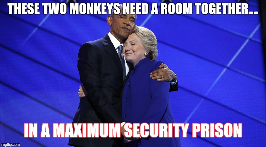 politics | THESE TWO MONKEYS NEED A ROOM TOGETHER.... IN A MAXIMUM SECURITY PRISON | image tagged in politics | made w/ Imgflip meme maker