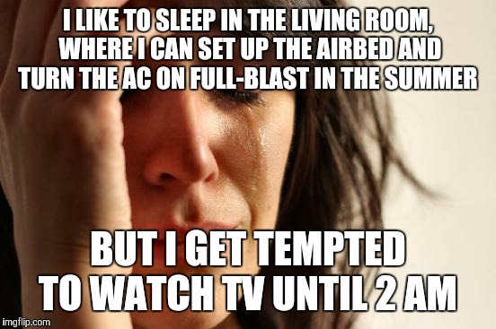 First World Problems | I LIKE TO SLEEP IN THE LIVING ROOM, WHERE I CAN SET UP THE AIRBED AND TURN THE AC ON FULL-BLAST IN THE SUMMER; BUT I GET TEMPTED TO WATCH TV UNTIL 2 AM | image tagged in memes,first world problems | made w/ Imgflip meme maker