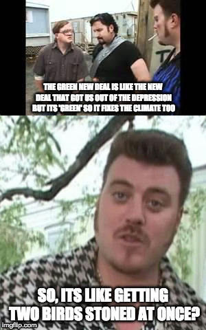Trailer park boys green new deal | THE GREEN NEW DEAL IS LIKE THE NEW DEAL THAT GOT US OUT OF THE DEPRESSION BUT ITS 'GREEN' SO IT FIXES THE CLIMATE TOO; SO, ITS LIKE GETTING TWO BIRDS STONED AT ONCE? | image tagged in jill stein,green new deal | made w/ Imgflip meme maker