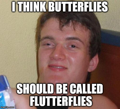 10 Guy Meme | I THINK BUTTERFLIES SHOULD BE CALLED FLUTTERFLIES | image tagged in memes,10 guy | made w/ Imgflip meme maker