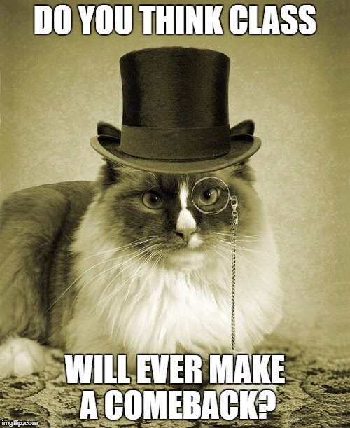fancy cat  | DO YOU THINK CLASS; WILL EVER MAKE A COMEBACK? | image tagged in fancy cat | made w/ Imgflip meme maker