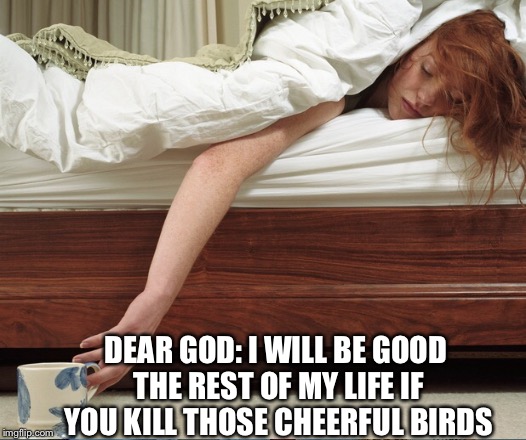 DEAR GOD: I WILL BE GOOD THE REST OF MY LIFE IF YOU KILL THOSE CHEERFUL BIRDS | made w/ Imgflip meme maker