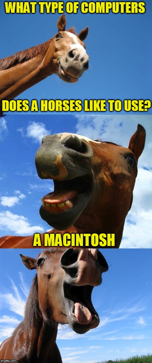 Just Horsing Around | WHAT TYPE OF COMPUTERS; DOES A HORSES LIKE TO USE? A MACINTOSH | image tagged in horse jokes,funny meme,puns,horse,computer,apple | made w/ Imgflip meme maker