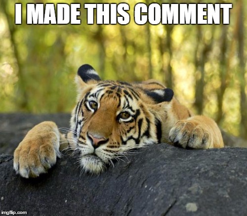 I MADE THIS COMMENT | made w/ Imgflip meme maker