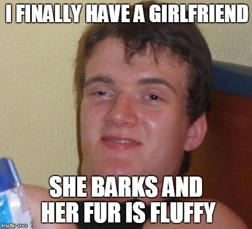 Woof Woof | I FINALLY HAVE A GIRLFRIEND; SHE BARKS AND HER FUR IS FLUFFY | image tagged in memes,10 guy,lassie | made w/ Imgflip meme maker