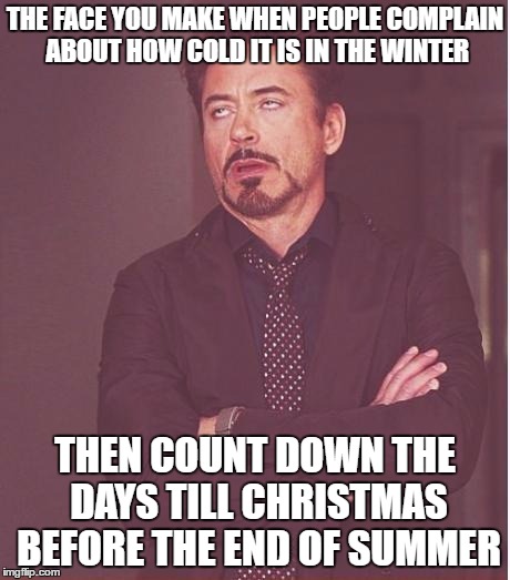 Face You Make Robert Downey Jr | THE FACE YOU MAKE WHEN PEOPLE COMPLAIN ABOUT HOW COLD IT IS IN THE WINTER; THEN COUNT DOWN THE DAYS TILL CHRISTMAS BEFORE THE END OF SUMMER | image tagged in memes,face you make robert downey jr | made w/ Imgflip meme maker