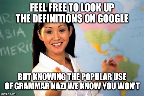 FEEL FREE TO LOOK UP THE DEFINITIONS ON GOOGLE BUT KNOWING THE POPULAR USE OF GRAMMAR NAZI WE KNOW YOU WON'T | made w/ Imgflip meme maker