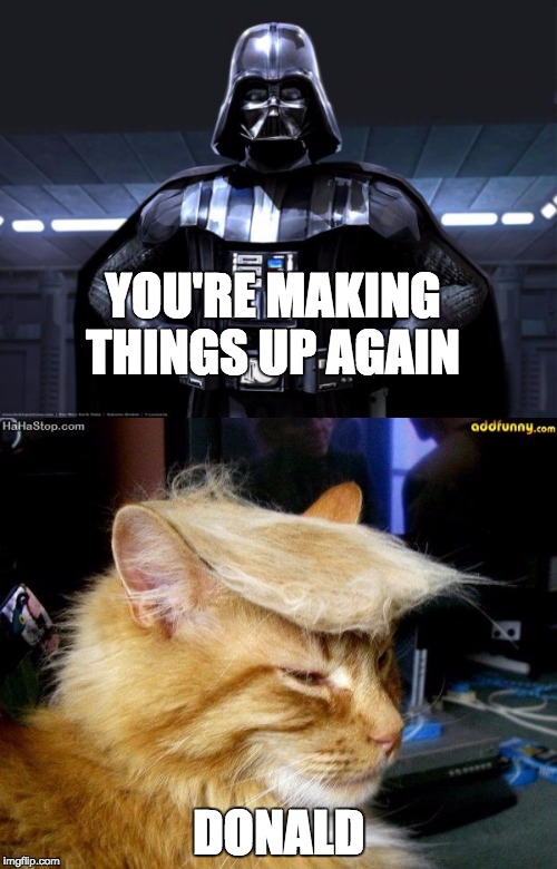Book of Donald |  YOU'RE MAKING THINGS UP AGAIN; DONALD | image tagged in book of mormon,donald trump,darth vader,cats,star wars,grumpy cat star wars | made w/ Imgflip meme maker