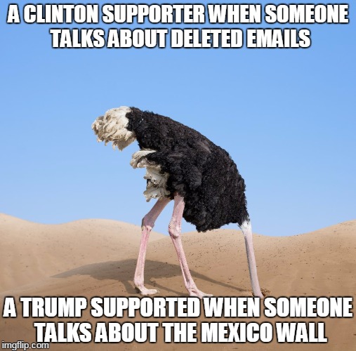 November is going to suck either way... | A CLINTON SUPPORTER WHEN SOMEONE TALKS ABOUT DELETED EMAILS; A TRUMP SUPPORTED WHEN SOMEONE TALKS ABOUT THE MEXICO WALL | image tagged in hillary clinton,donald trump | made w/ Imgflip meme maker