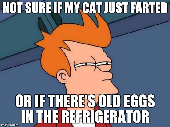 Futurama Fry | NOT SURE IF MY CAT JUST FARTED; OR IF THERE'S OLD EGGS IN THE REFRIGERATOR | image tagged in memes,futurama fry | made w/ Imgflip meme maker