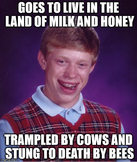 Bad Luck Brian | GOES TO LIVE IN THE LAND OF MILK AND HONEY; TRAMPLED BY COWS AND STUNG TO DEATH BY BEES | image tagged in memes,bad luck brian | made w/ Imgflip meme maker
