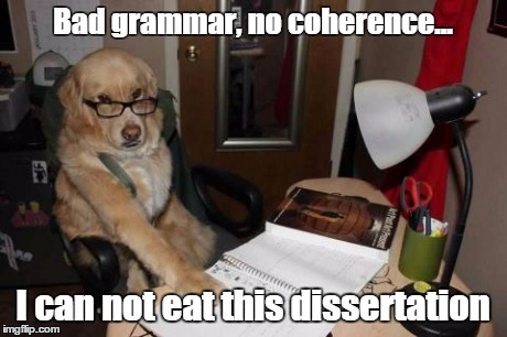 I can not eat this dissertation | Bad grammar, no coherence... I can not eat this dissertation | image tagged in dissertation,dog glasses,i can't eat this,bad grammar | made w/ Imgflip meme maker