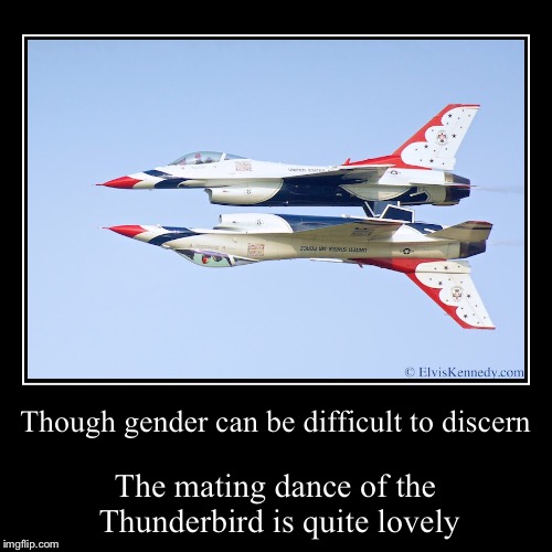 The Thunderbird mating ritual | image tagged in funny,demotivationals | made w/ Imgflip demotivational maker