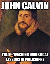 john calvin 1 | JOHN CALVIN; TULIP -
TEACHING UNBIBLICAL LESSONS IN PHILOSOPHY | image tagged in john calvin 1 | made w/ Imgflip meme maker