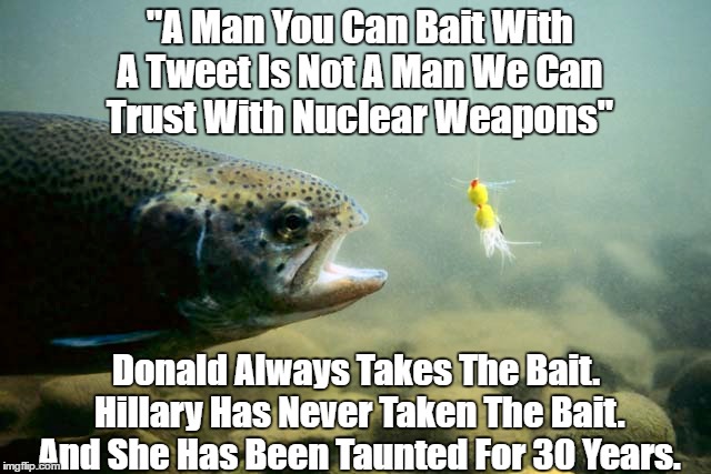 "A Man You Can Bait With A Tweet Is Not A Man We Can Trust With Nuclear Weapons" Donald Always Takes The Bait. Hillary Has Never Taken The B | made w/ Imgflip meme maker