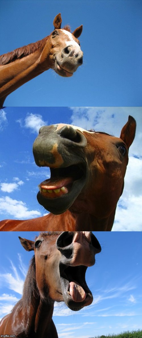 High Quality Just Horsing Around Blank Meme Template