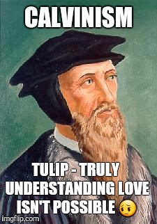 John Calvin | CALVINISM; TULIP - TRULY UNDERSTANDING LOVE ISN'T POSSIBLE 😔 | image tagged in john calvin | made w/ Imgflip meme maker
