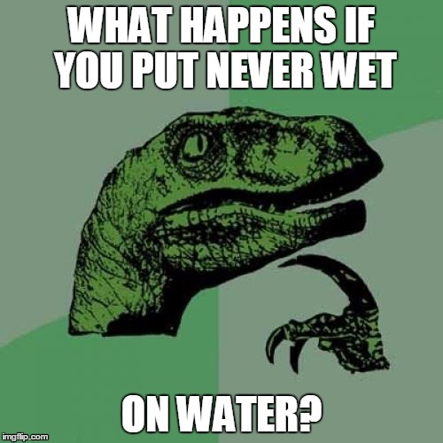 Philosoraptor | WHAT HAPPENS IF YOU PUT NEVER WET; ON WATER? | image tagged in memes,philosoraptor | made w/ Imgflip meme maker