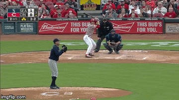 King Felix | image tagged in gifs | made w/ Imgflip video-to-gif maker