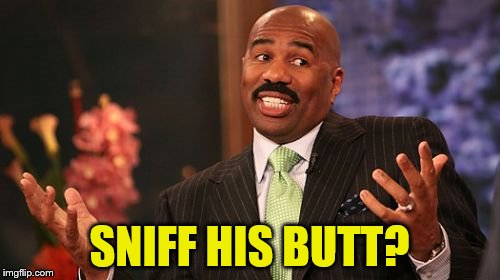 SNIFF HIS BUTT? | image tagged in memes,steve harvey | made w/ Imgflip meme maker