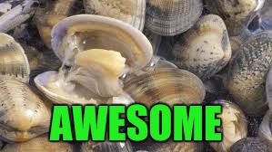 AWESOME | made w/ Imgflip meme maker