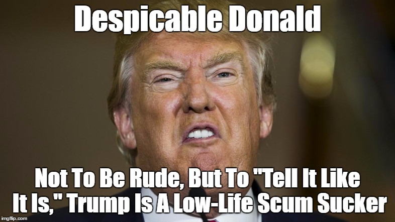 Despicable Donald Not To Be Rude, But To "Tell It Like It Is," Trump Is A Low-Life Scum Sucker | made w/ Imgflip meme maker