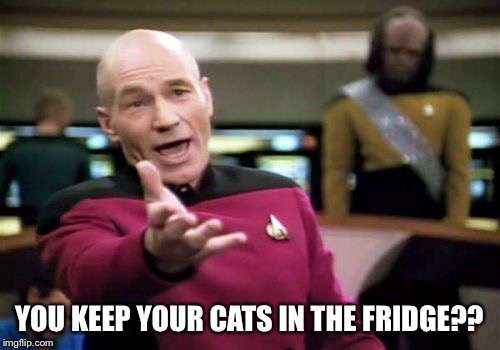 Picard Wtf Meme | YOU KEEP YOUR CATS IN THE FRIDGE?? | image tagged in memes,picard wtf | made w/ Imgflip meme maker