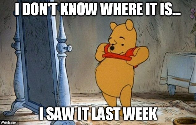 Winnie the Pooh | I DON'T KNOW WHERE IT IS... I SAW IT LAST WEEK | image tagged in winnie the pooh | made w/ Imgflip meme maker