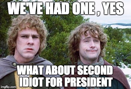 Second Breakfast | WE'VE HAD ONE , YES; WHAT ABOUT SECOND IDIOT FOR PRESIDENT | image tagged in second breakfast | made w/ Imgflip meme maker