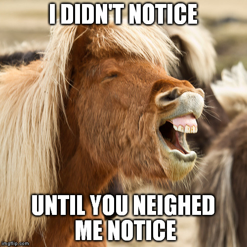 I DIDN'T NOTICE UNTIL YOU NEIGHED ME NOTICE | made w/ Imgflip meme maker