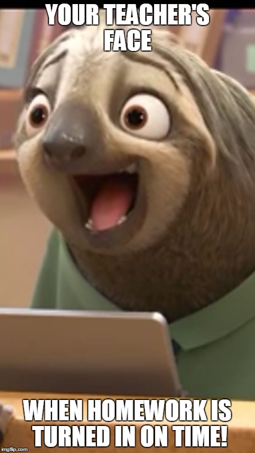 zootopia sloth | YOUR TEACHER'S FACE; WHEN HOMEWORK IS TURNED IN ON TIME! | image tagged in zootopia sloth | made w/ Imgflip meme maker