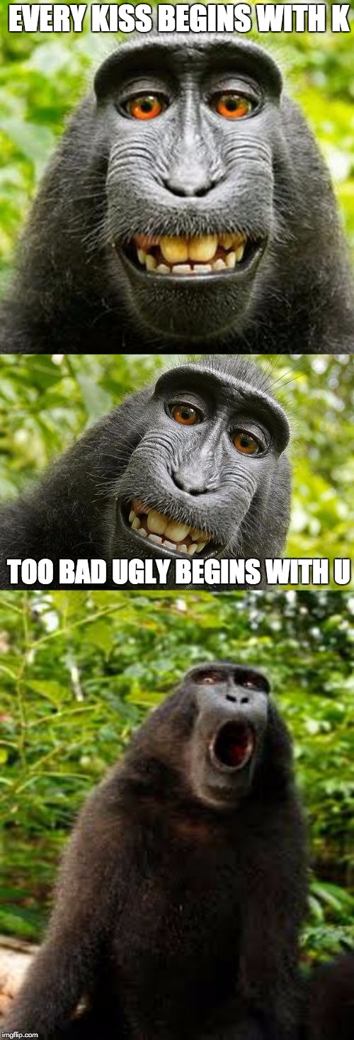 bad pun monkey | EVERY KISS BEGINS WITH K; TOO BAD UGLY BEGINS WITH U | image tagged in bad pun monkey | made w/ Imgflip meme maker