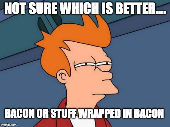 Futurama Fry Meme | NOT SURE WHICH IS BETTER.... BACON OR STUFF WRAPPED IN BACON | image tagged in memes,futurama fry | made w/ Imgflip meme maker