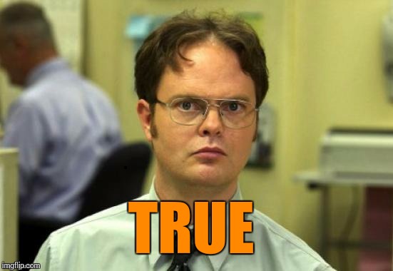 dwight | TRUE | image tagged in dwight | made w/ Imgflip meme maker