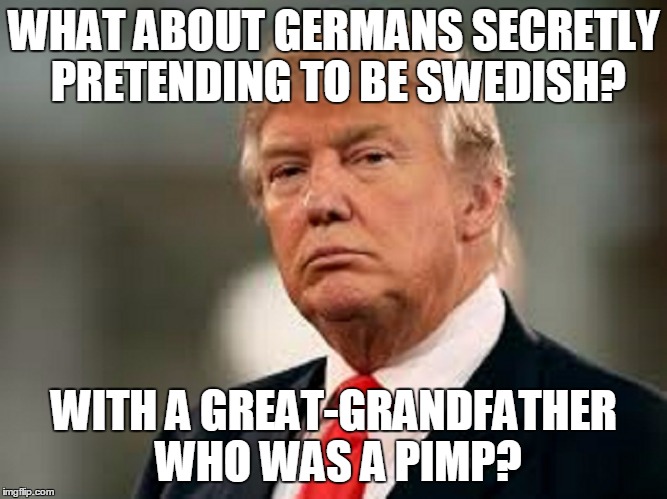 WHAT ABOUT GERMANS SECRETLY PRETENDING TO BE SWEDISH? WITH A GREAT-GRANDFATHER WHO WAS A PIMP? | made w/ Imgflip meme maker