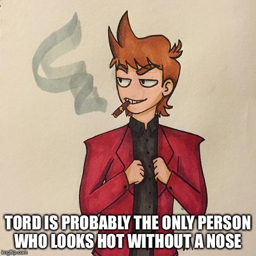 Eddsworld | TORD IS PROBABLY THE ONLY PERSON WHO LOOKS HOT WITHOUT A NOSE | image tagged in funny memes | made w/ Imgflip meme maker
