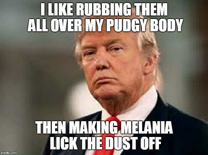I LIKE RUBBING THEM ALL OVER MY PUDGY BODY THEN MAKING MELANIA LICK THE DUST OFF | made w/ Imgflip meme maker