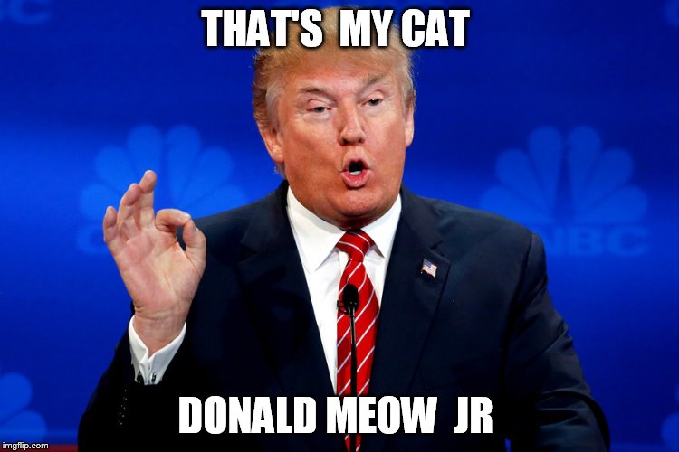 THAT'S  MY CAT DONALD MEOW  JR | made w/ Imgflip meme maker