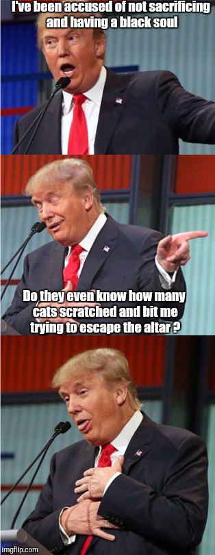 Bad Pun Trump | I've been accused of not sacrificing and having a black soul; Do they even know how many cats scratched and bit me trying to escape the altar ? | image tagged in bad pun trump | made w/ Imgflip meme maker