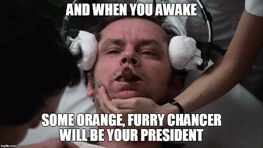AND WHEN YOU AWAKE SOME ORANGE, FURRY CHANCER WILL BE YOUR PRESIDENT | made w/ Imgflip meme maker