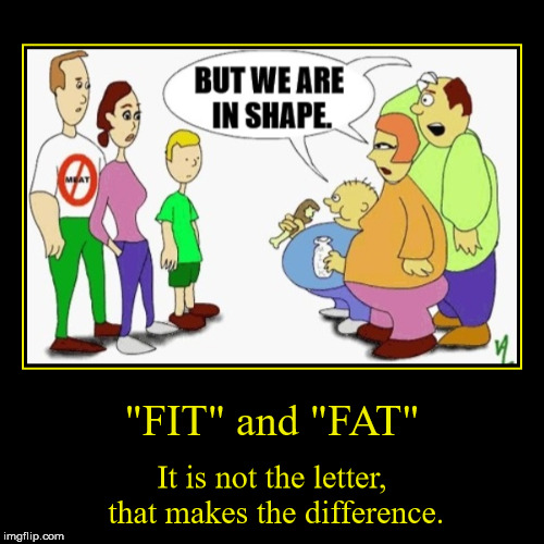 Fit VS Fat | image tagged in funny,demotivationals,vegan4life,fitness,fat,fit | made w/ Imgflip demotivational maker