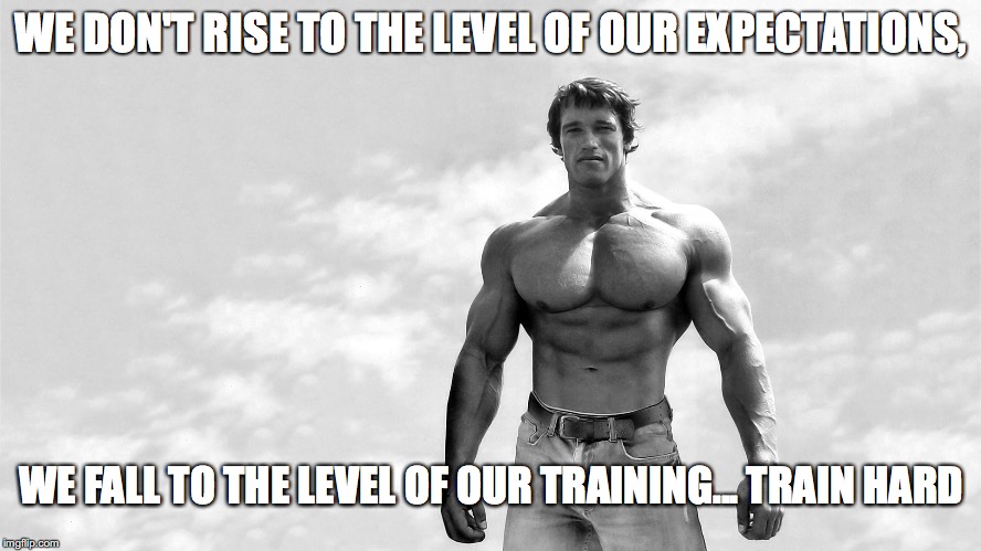 WE DON'T RISE TO THE LEVEL OF OUR EXPECTATIONS, WE FALL TO THE LEVEL OF OUR TRAINING... TRAIN HARD | image tagged in arnold | made w/ Imgflip meme maker