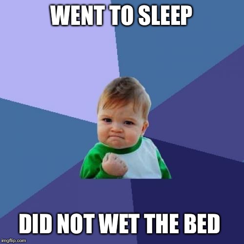 Success Kid | WENT TO SLEEP; DID NOT WET THE BED | image tagged in memes,success kid | made w/ Imgflip meme maker