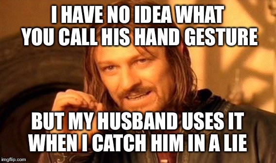 Please let me know so I can google it.  | I HAVE NO IDEA WHAT YOU CALL HIS HAND GESTURE; BUT MY HUSBAND USES IT WHEN I CATCH HIM IN A LIE | image tagged in memes,one does not simply | made w/ Imgflip meme maker