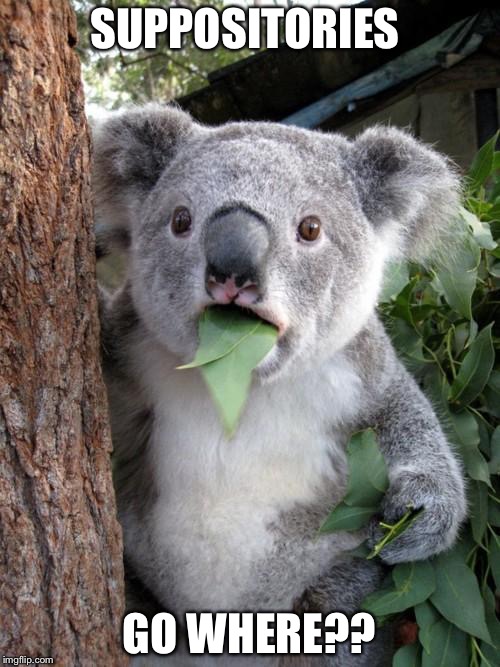 Surprised Koala Meme | SUPPOSITORIES; GO WHERE?? | image tagged in memes,surprised koala | made w/ Imgflip meme maker
