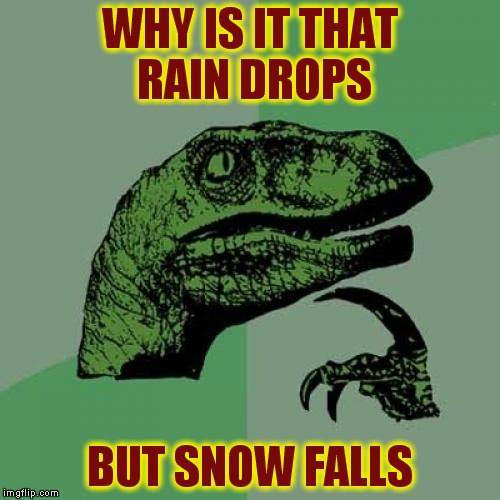 Philosoraptor | WHY IS IT THAT RAIN DROPS; BUT SNOW FALLS | image tagged in memes,philosoraptor | made w/ Imgflip meme maker