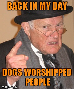 Back In My Day Meme | BACK IN MY DAY DOGS WORSHIPPED PEOPLE | image tagged in memes,back in my day | made w/ Imgflip meme maker