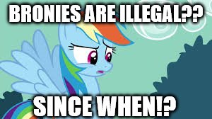 BRONIES ARE ILLEGAL?? SINCE WHEN!? | made w/ Imgflip meme maker